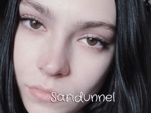 Saridunnel