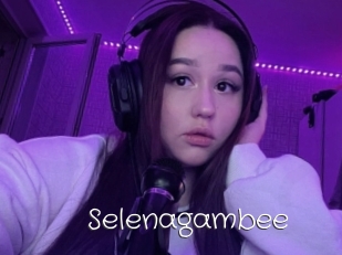 Selenagambee