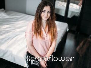 Sennaflower