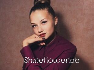 Shineflowerbb