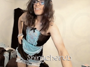 Shinycherub