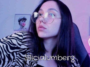 Silicialumberg