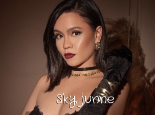 Sky_junne