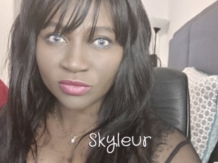 Skyleur