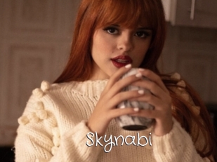 Skynabi