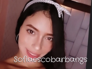 Sofiaescobarbangs