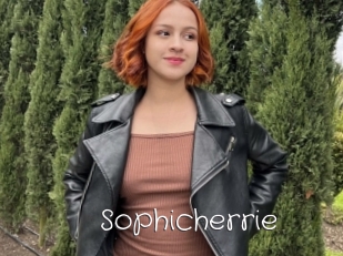 Sophicherrie