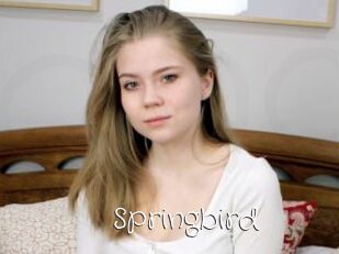 Springbird