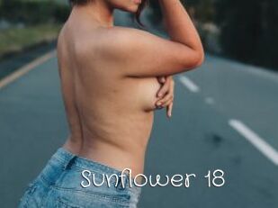 Sunflower_18