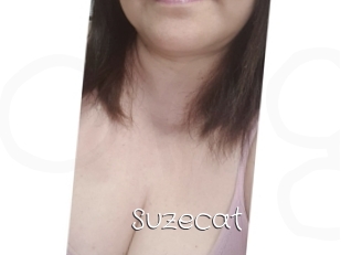 Suzecat