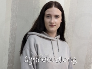Synnebudlong