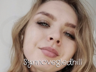 Synnovegledhill
