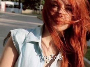 TinyFox