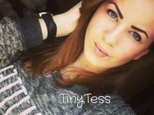 TinyTess