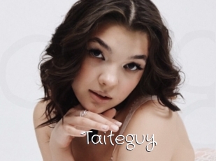 Taiteguy