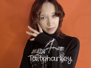 Taiteharkey