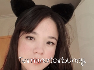 Terminatorbunny