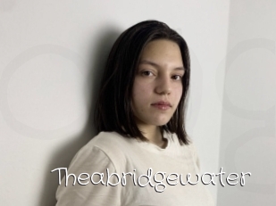 Theabridgewater