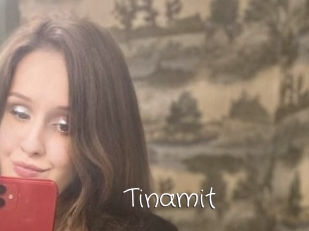 Tinamit