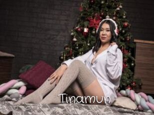 Tinamun