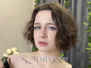 Trishrose