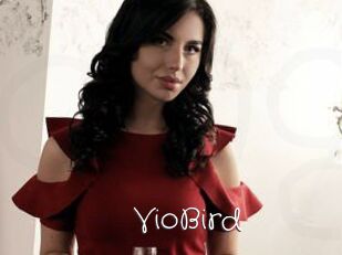VioBird