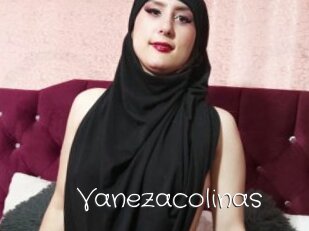 Vanezacolinas