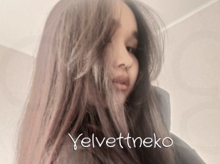 Velvettneko