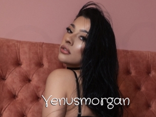 Venusmorgan