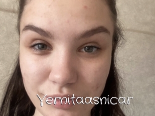 Vernitaasnicar
