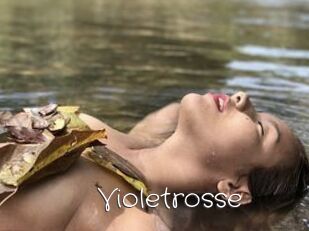 Violetrosse
