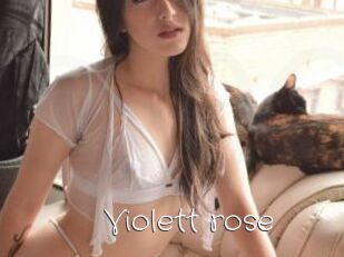 Violett_rose