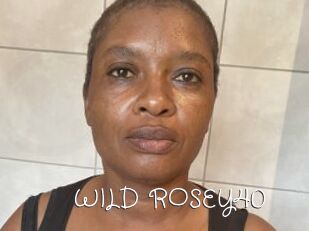 WILD_ROSEY40