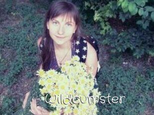 Wildcumster