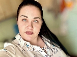 Wilddaisy