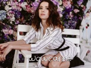 Wowcarrie