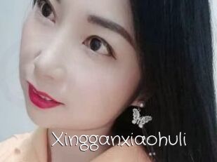 Xingganxiaohuli