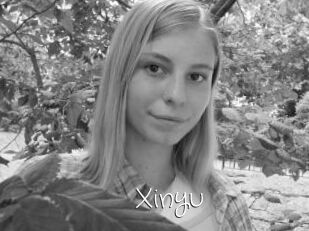 Xinyu