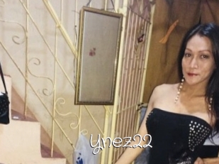 Ynez22
