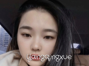 Yangqingxue