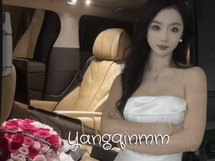 Yangqinmm