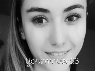 Yourmouse23