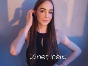 Zinet_new