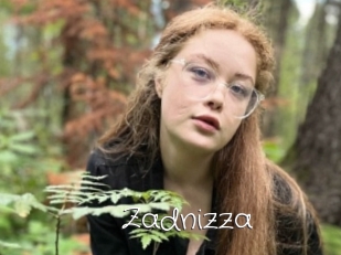 Zadnizza
