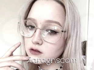Zaragriscom