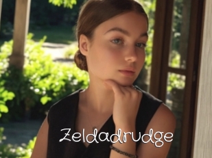 Zeldadrudge