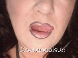 Zoekanaalsub